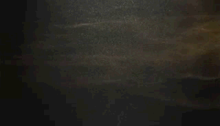 И(bio)֪ͨ